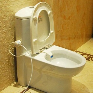 Flushing Sanitary Device Bathroom Smart Toilet 